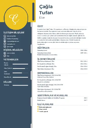 Ebe Cv Örnekleri cv indir